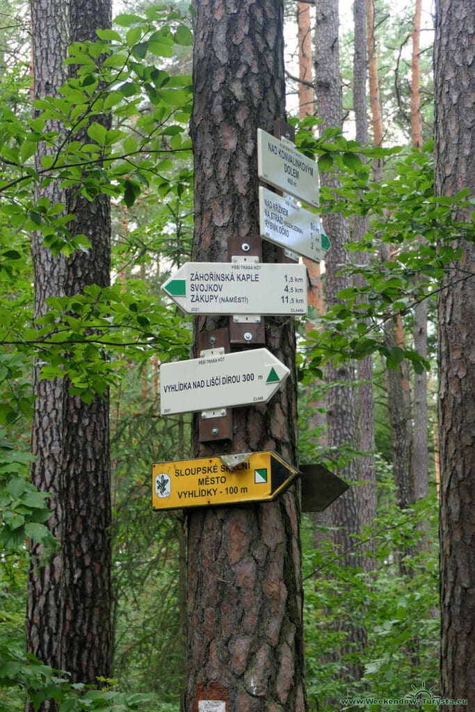 Szlak koło zamku Sloup - leśne ścieżki i szlaki