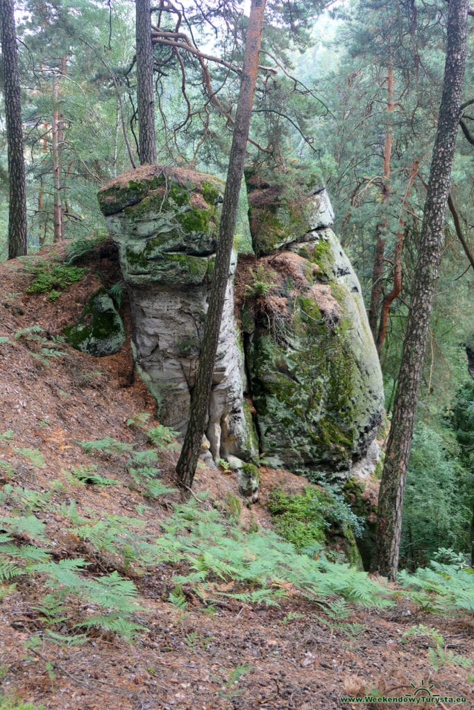 Sloupskie Skalne Miasto - leśne ścieżki i szlaki