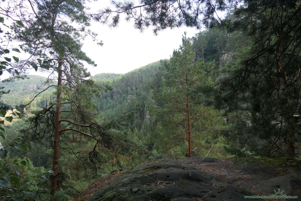 Sloupskie Skalne Miasto - leśne ścieżki i szlaki