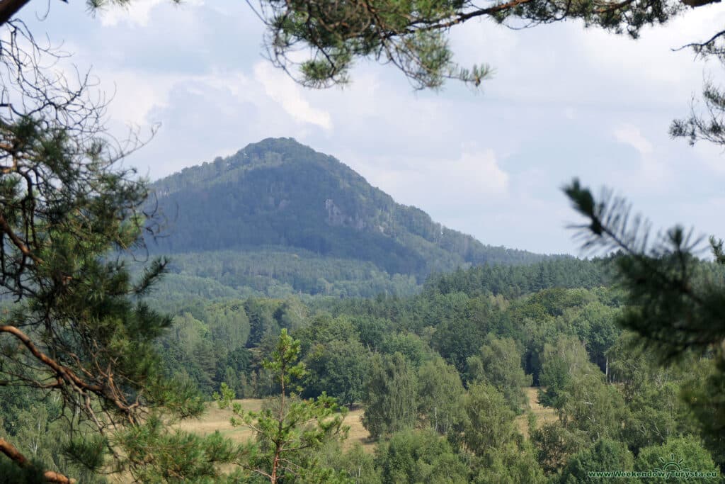 Sloupskie Skalne Miasto - leśne ścieżki i szlaki - punkt widokowy