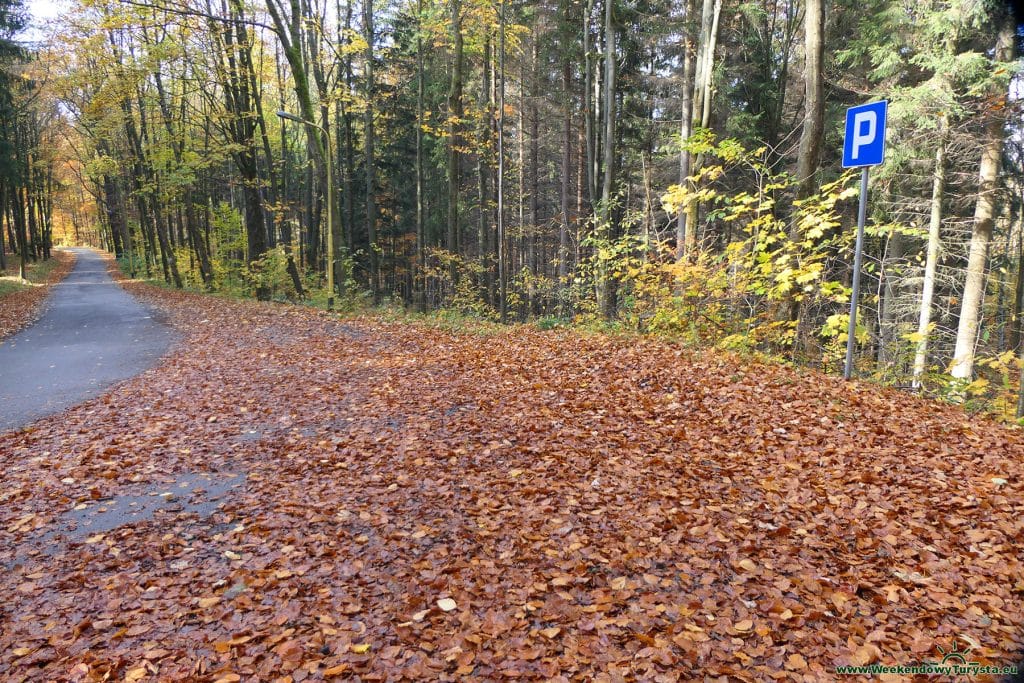 Parking przy drodze do Zamku Leśna Skała