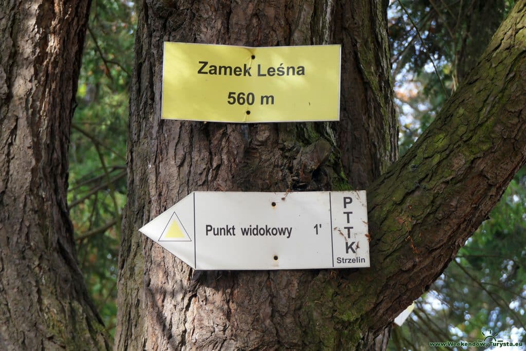 Zamek Leśna Skała w Szczytnej