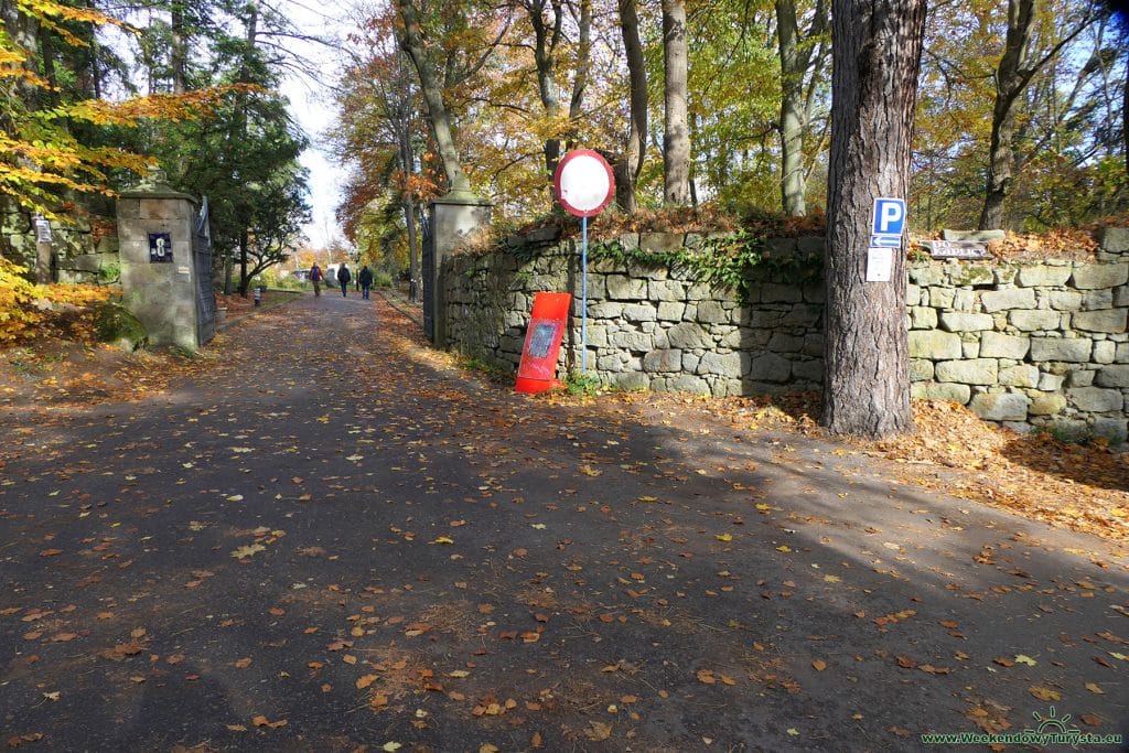 Parking przy Zamku Leśna Skała