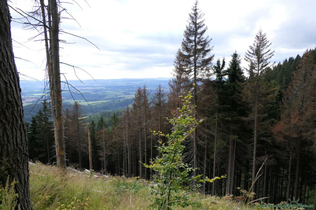 Widok z drogi do Jańskich Łaźni - Czarna Góra