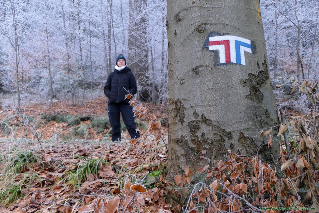 Czerwony szlak na Kalenicę