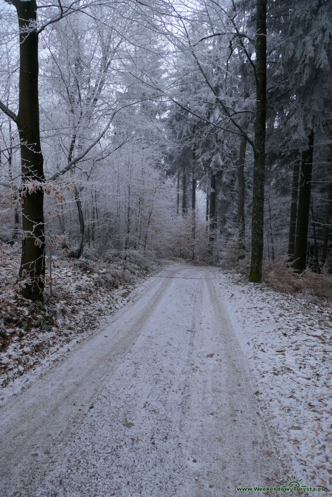 Szlak do schroniska Zygmuntówka - Góry Sowie