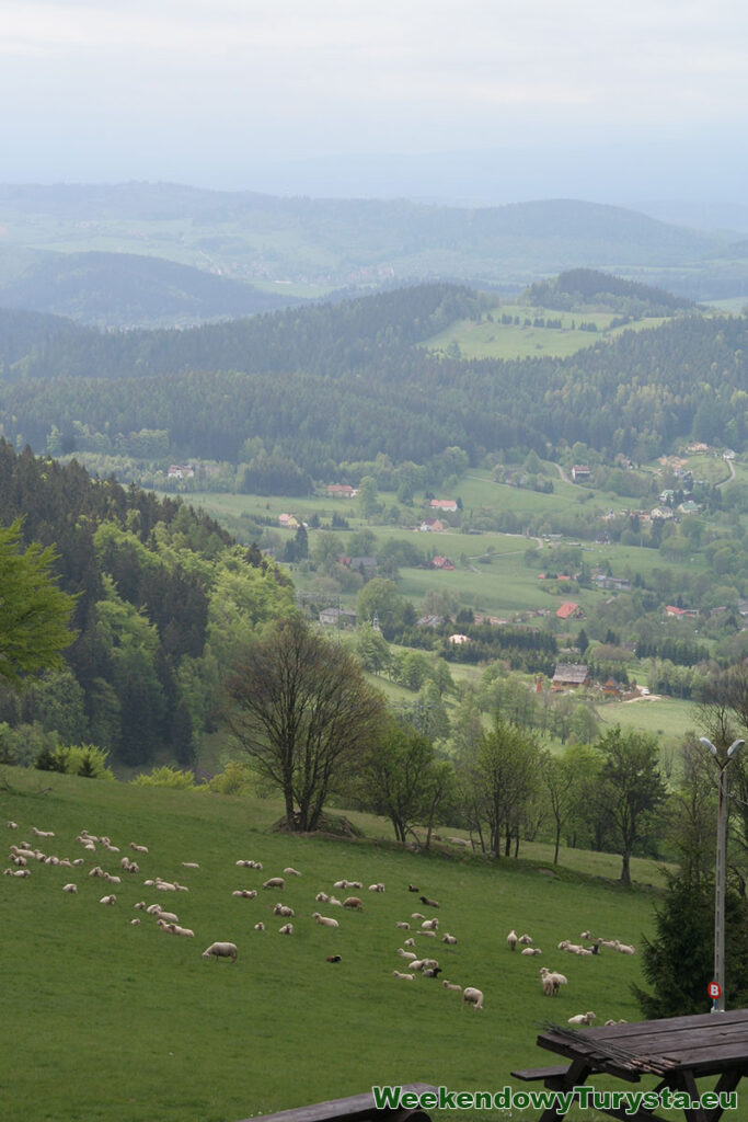 Widok spod schroniska Orzeł