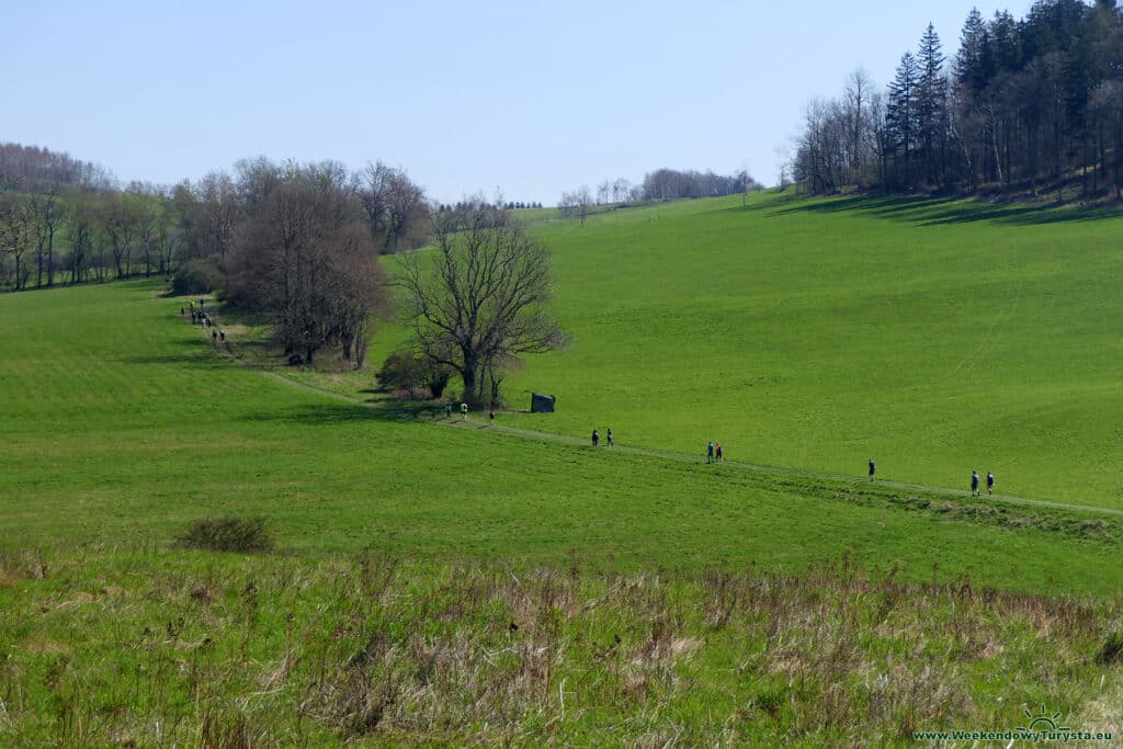 Maraton Pieszy w Wojcieszowie