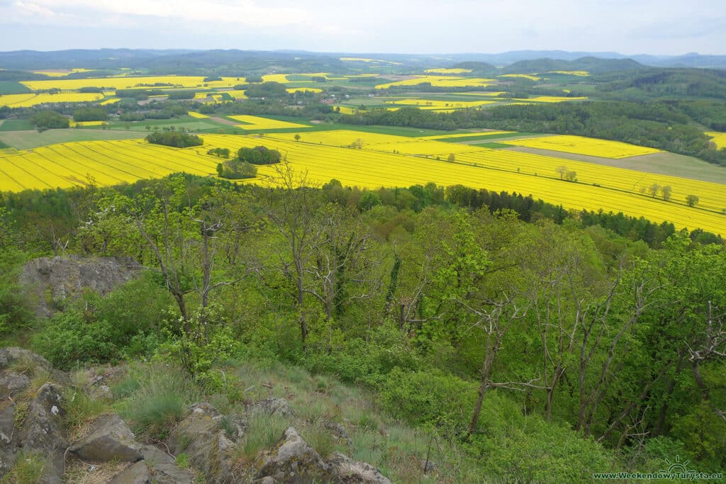 Ostrzyca - widok ze szczytu