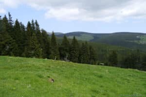 Bouda na Plani - panorama Karkonoszy