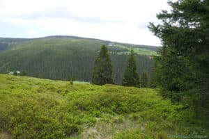 Szlak w Karkonoszach - panorama polany Klinovka