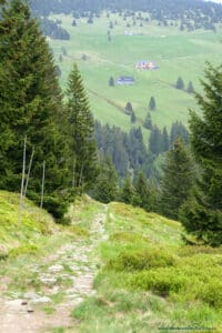 Szlak w Karkonoszach - panorama polany Klinovka