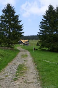 Szlak w Karkonoszach - panorama polany Klinovka