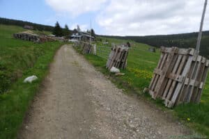 Szlak w Karkonoszach - panorama polany Klinovka