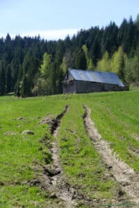 Łąki przy szlaku na Maciejową