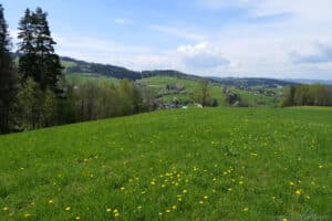 Szlak na Maciejową w Gorcach - widok na Rabkę