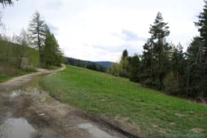 Maciejowa - widok na Tatry