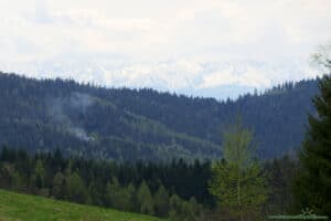 Maciejowa - widok na Tatry