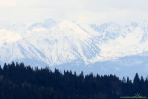 Maciejowa - widok na Tatry