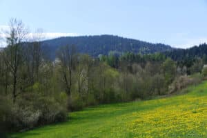 Szlak na Maciejową z Olszówki - widoki