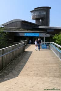 Slimbridge Wetland Centre - wejście