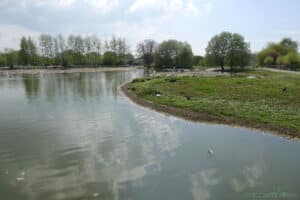 Slimbridge Wetland Centre