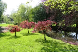 Slimbridge Wetland Centre