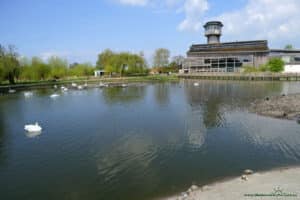 Slimbridge Wetland Centre - staw i budynek główny