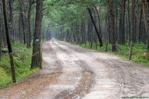 Droga na plażę w Czołpinie