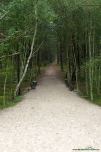 Plaża w Czołpinie - zejście w kierunku latarni morskiej