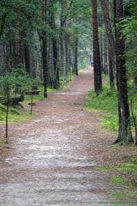 Plaża w Czołpinie - zejście w kierunku latarni morskiej