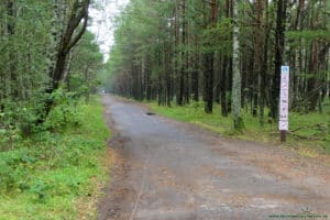 Sierpniowe podgrzybki w Słowińskim Parku Narodowym