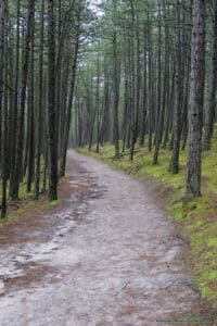 Droga z plaży do latarni morskiej - niebieski szlak