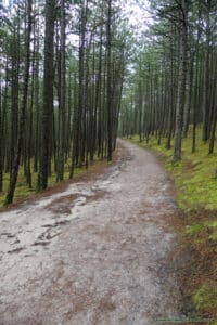 Droga z plaży do latarni morskiej - niebieski szlak