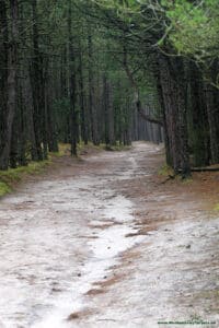 Droga z plaży do latarni morskiej  - niebieski szlak