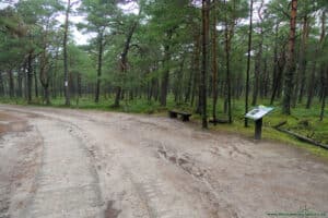 Niebieski Szlak - Słowiński Park Narodowy