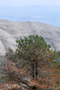 Pantokrator na Korfu - widok ze szczytu