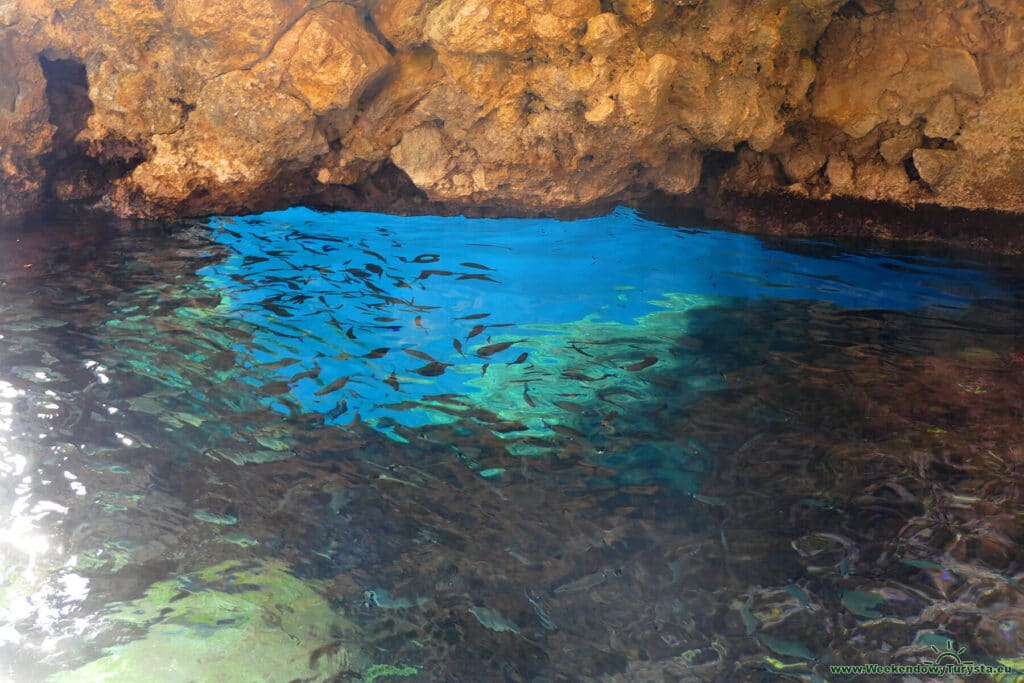 La Grotto - oko w skale pod wodą - Rejs po zatoce Paleokastritsa