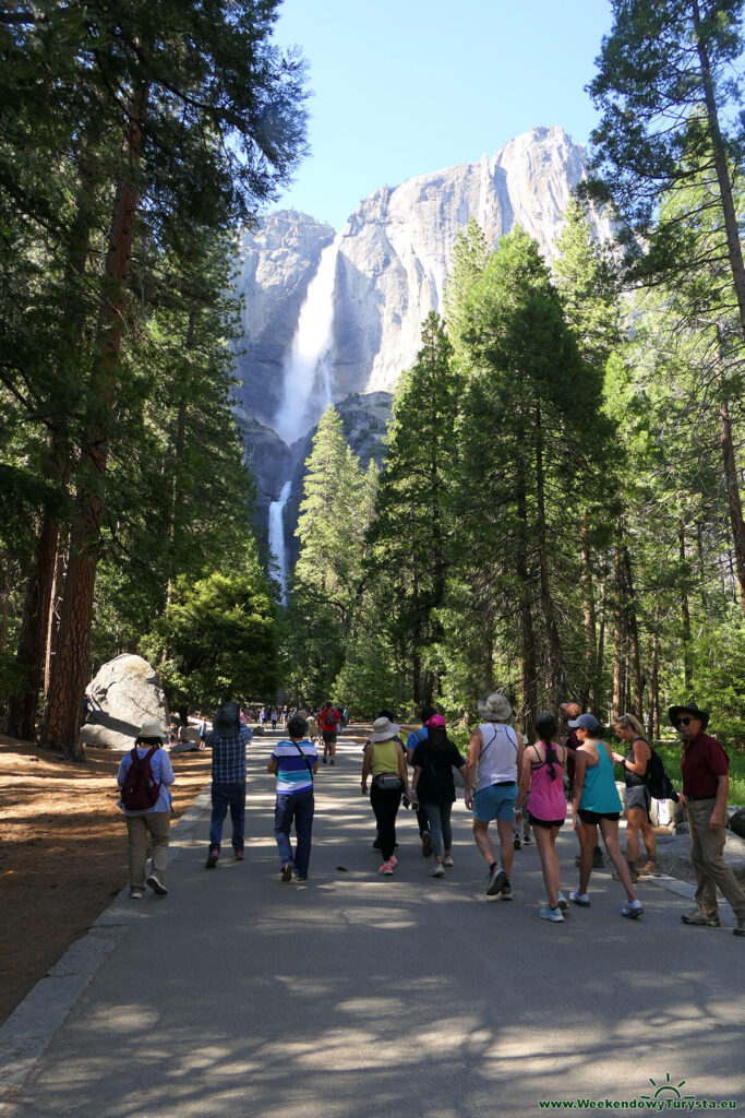 Wodospad Yosemite - Park Narodowy Yosemite