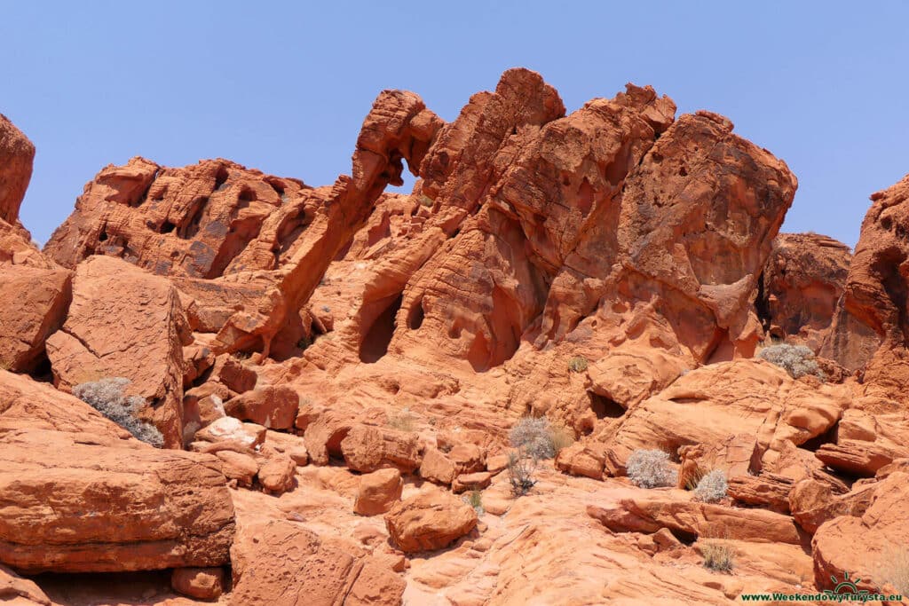 Elephant Rock - Valley Of Fire State Park