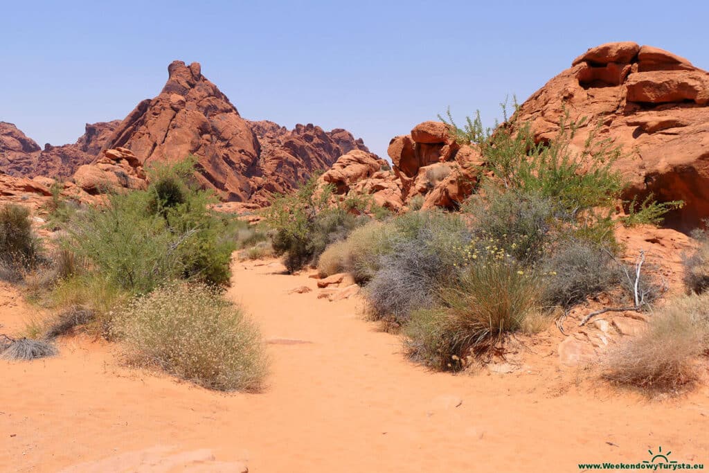 Szlak petroglifów w Valley of Fire State Park