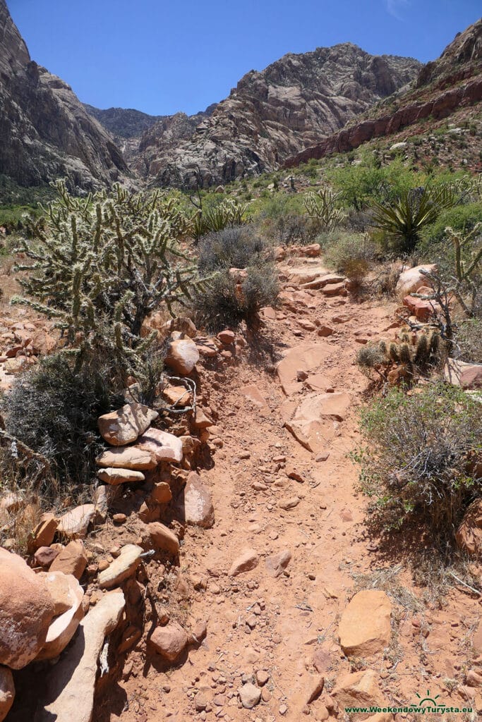 Szlak Sandstone Loop Trial - Spring Mountain Ranch