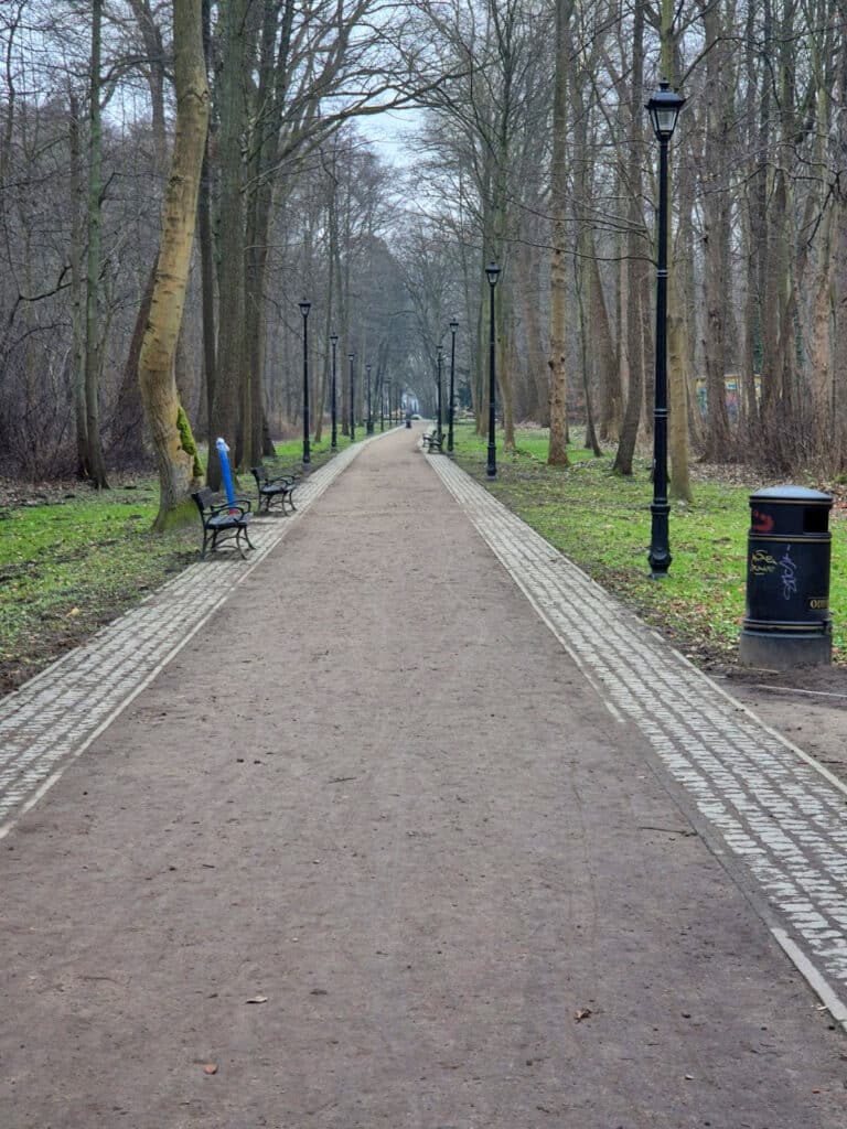 Aleja w Parku Zdrojowym - Świnoujście Zimą